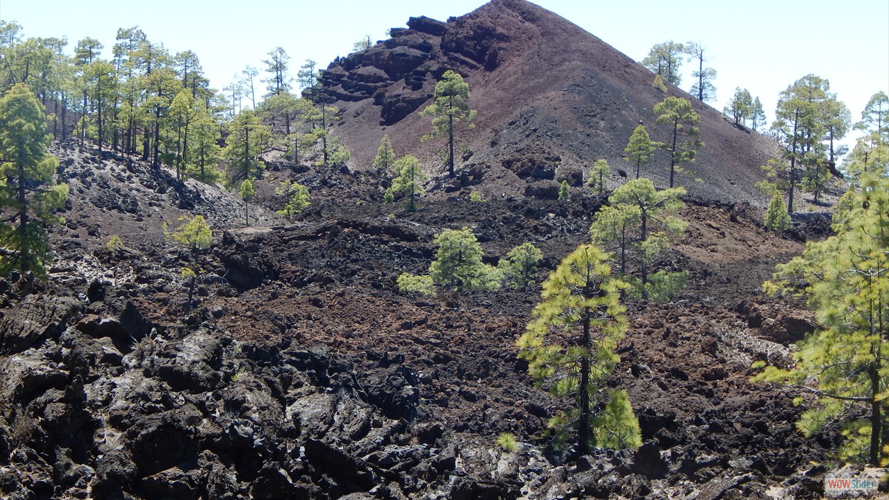 slideshow javascript